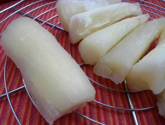 dicas-manioc