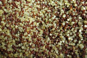 quinoa jpg